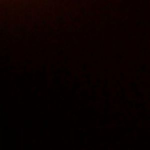 Meet your Posher, Rickey